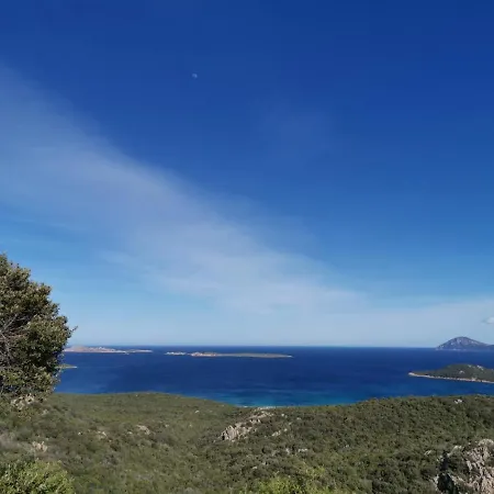 La Quercia - Capriccioli *