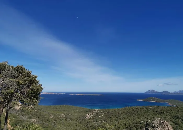 La Quercia - Capriccioli *